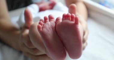 Baby newborn feet together after birth, frst days of life