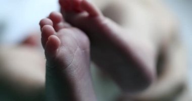 Small newborn baby feet in first days of life