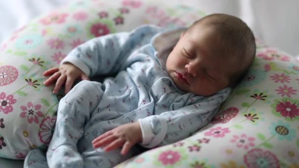 Tiny Newborn Baby Deep Sleep Infant Seated Big Pillow Asleep — Vídeo de stock