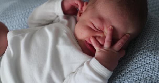 Baby Newborn Stretching Body Waking — Wideo stockowe