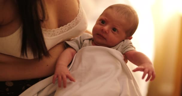 Newborn Baby Infant Night First Week Life — 图库视频影像