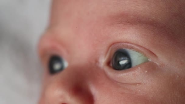 Closeup Newborn Baby Eyes Macro Observing — Stock Video