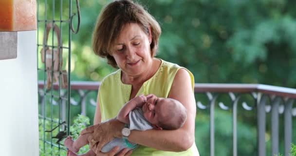 Grand Mother Holding Newborn Baby Infant Arms — Vídeo de Stock