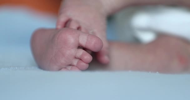 Дитячі Новонароджені Ноги Перший Тиждень Життя — стокове відео
