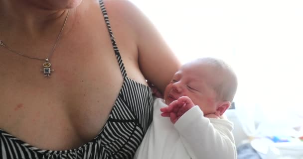 Mother Holding Newborn Baby Infant First Days Life — Video