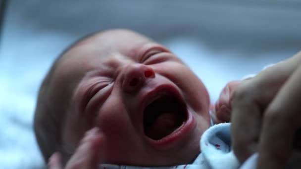 Μωρό Κλαίει Νεογέννητο Κλαίει Κατά Διάρκεια Των Πρώτων Ημερών Της — Αρχείο Βίντεο