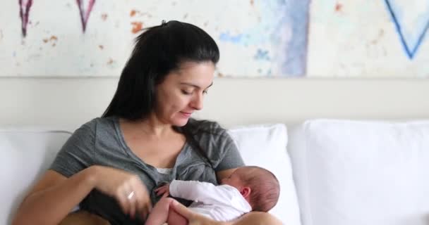 Candid Mother Holding Newborn Baby Infant Seated Home Sofa — Stockvideo