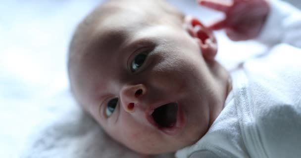Newborn Baby Yawning First Week Life — Video Stock