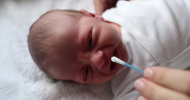 Cleaning Newborn Baby Nose Swab — Stockvideo