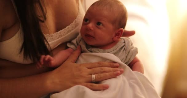 Mom Holding Newborn Baby Infant First Week Life — Video