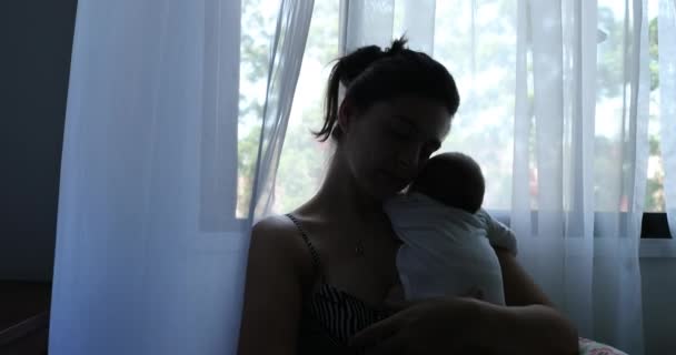 Silhouette Mother Holding Newborn Baby Son Her Arms Next Window — Stock videók