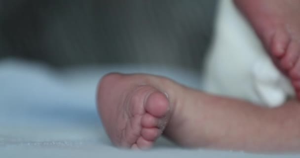 Baby Newborn Feet Close Infant Macro Foot — Vídeo de Stock