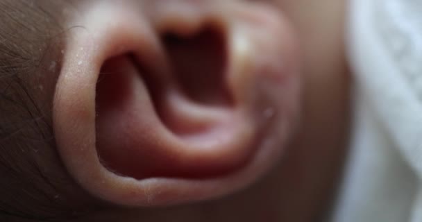Newborn Macro Ear Close Infant Baby Part Body Ear — Stock video