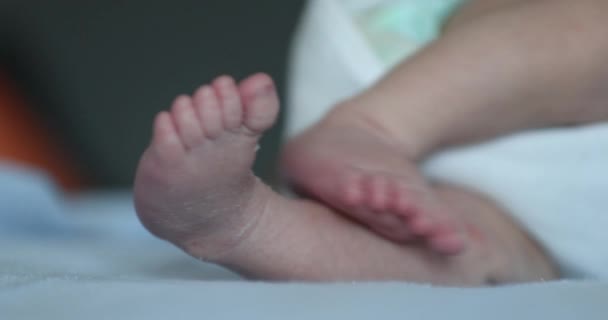Новонароджені Ноги Крупним Планом Перший Тиждень Життя — стокове відео
