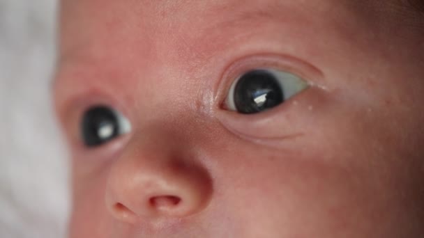 Macro Closeup Newborn Baby Eyes Looking Observing — Video