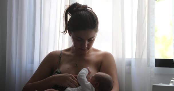 Mother Breastfeeding Newborn Baby Next Window — Stockvideo