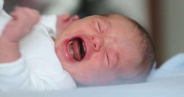 Newborn Baby Lying Beed Looking Camera First Week Life — Stock video