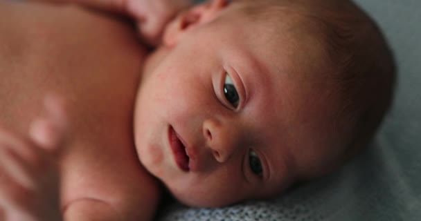 Newborn Baby Closeup Face Awake — Vídeo de Stock