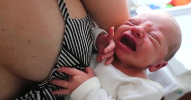 Unhappy Newborn Baby Infant Crying — Vídeos de Stock