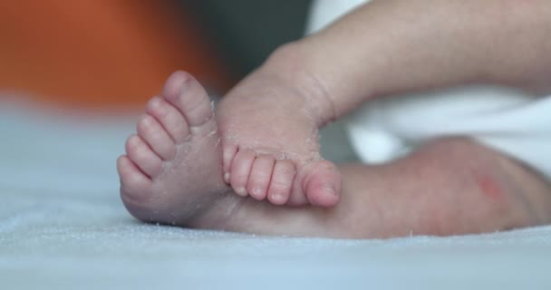 Baby Newborn Feet Close Cute Infant Feet — Stockvideo