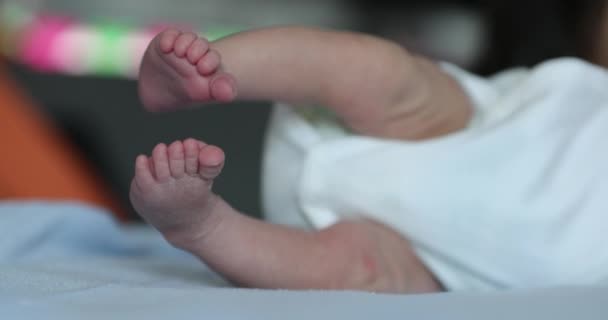 Newborn Feet Close Baby Tiny Feet First Week Life — Stok video