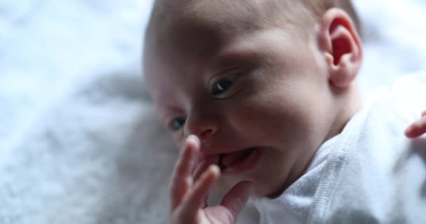 Newborn Baby Boy Looking Observing World Learning First Week Life — Video