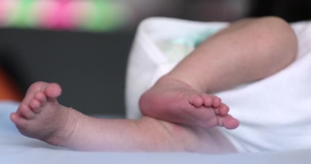 Newborn Baby Feet Close Infant Toddler Foot — Vídeo de Stock