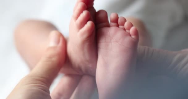 Holding Newborn Baby Infant Feet Foot — Wideo stockowe