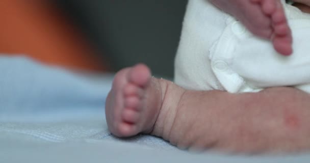 Infant Newborn Baby Feet First Week Life — Stock videók