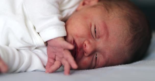 Baby Newborn Waking Nap Opening Eyes Observing World — 图库视频影像