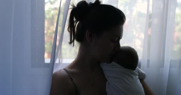 Silhouette Mother Holding Newborn Baby Son Her Arms Next Window — Stock Video
