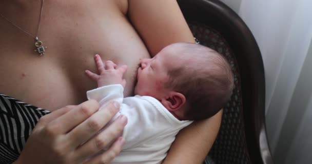 Mother Breastfeeding Newborn Baby Infant — Vídeo de Stock