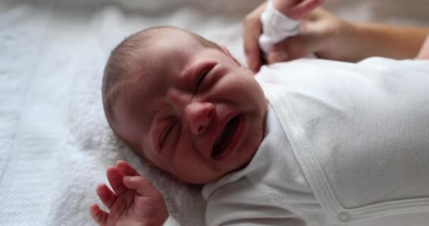 Crying Newborn Baby Infant Complaining First Days Life — Wideo stockowe