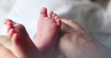 Holding Newborn baby infant feet and foot