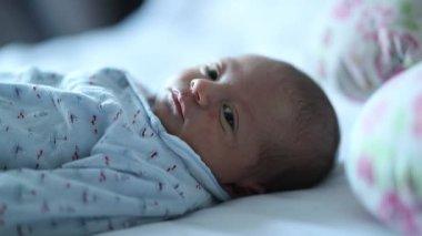 Tiny newborn baby curious observing world, infant looking to camera during first week of life