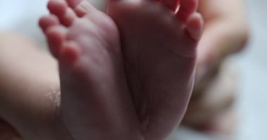 Newborn baby feet in macro close-up. Infant foot together in first week of life