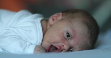 Adorable newborn baby infant smiling feeling happy discovering the world