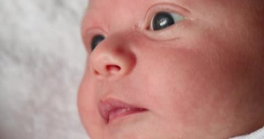 Newborn baby awake looking and learning closeup