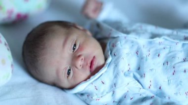 Cute Curious newborn baby observing world during first week of life
