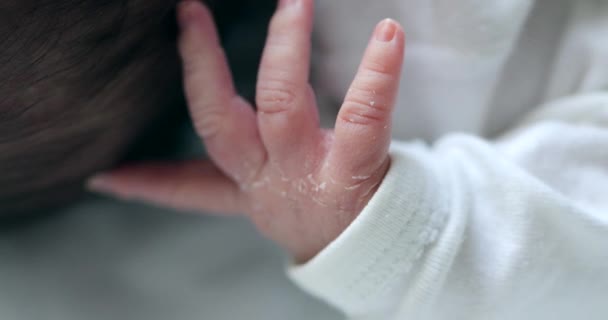 Newborn Baby Hands Close Macro — Stock video