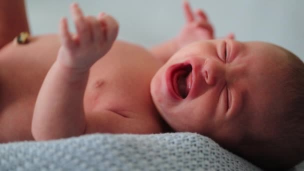 Newborn Baby Infant First Week Life Crying — 图库视频影像