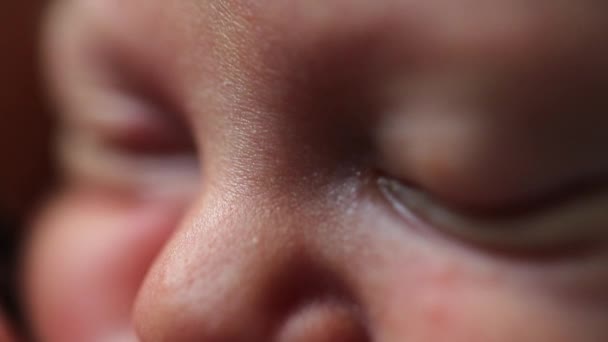 Macro Newborn Baby Eyes Asleep Eyes Closed — Stock Video