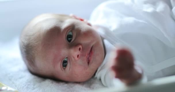 Newborn Baby First Month Life Observing World — Vídeo de Stock