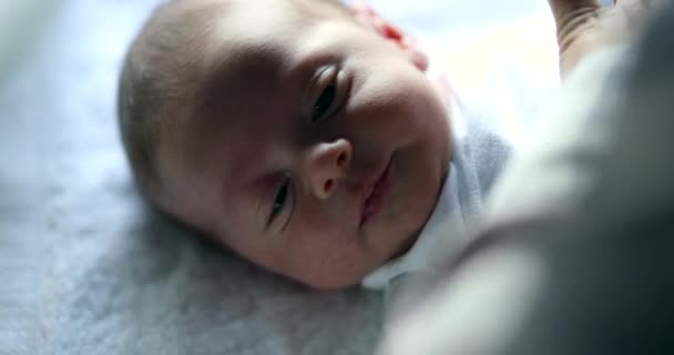 Baby Newborn First Week Life — Video