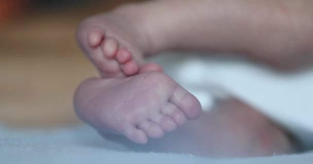 Baby Feet Close Cute Infant Foot — Stock video