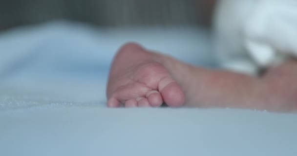 Baby Newborn Feet Close Infant Macro Foot — Vídeos de Stock