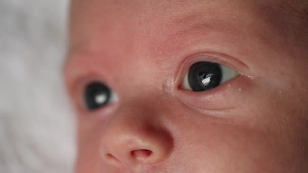 Newborn Baby Eyes Closeup Macro Infant Observing — Video