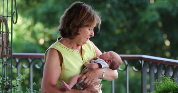 Candid Grand Mother Holding Newborn Baby Infant Her Arms — Vídeo de stock