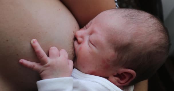 Mother Breastfeeding Newborn Baby Infant Suckling Feeding First Week Life — Stock video