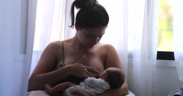Mother Breastfeeding Newborn Baby Infant Next Window — Stock video